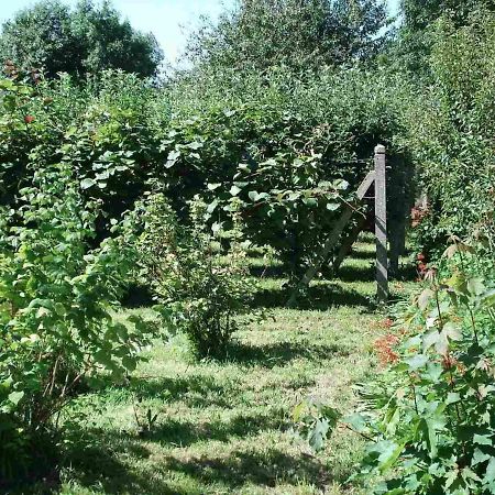 Le Clos Des Tilleuls La Vendelée Exteriér fotografie