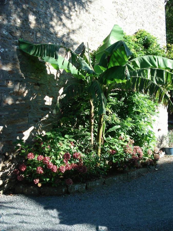 Le Clos Des Tilleuls La Vendelée Exteriér fotografie