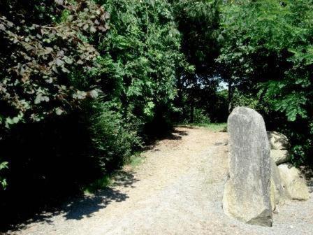 Le Clos Des Tilleuls La Vendelée Exteriér fotografie